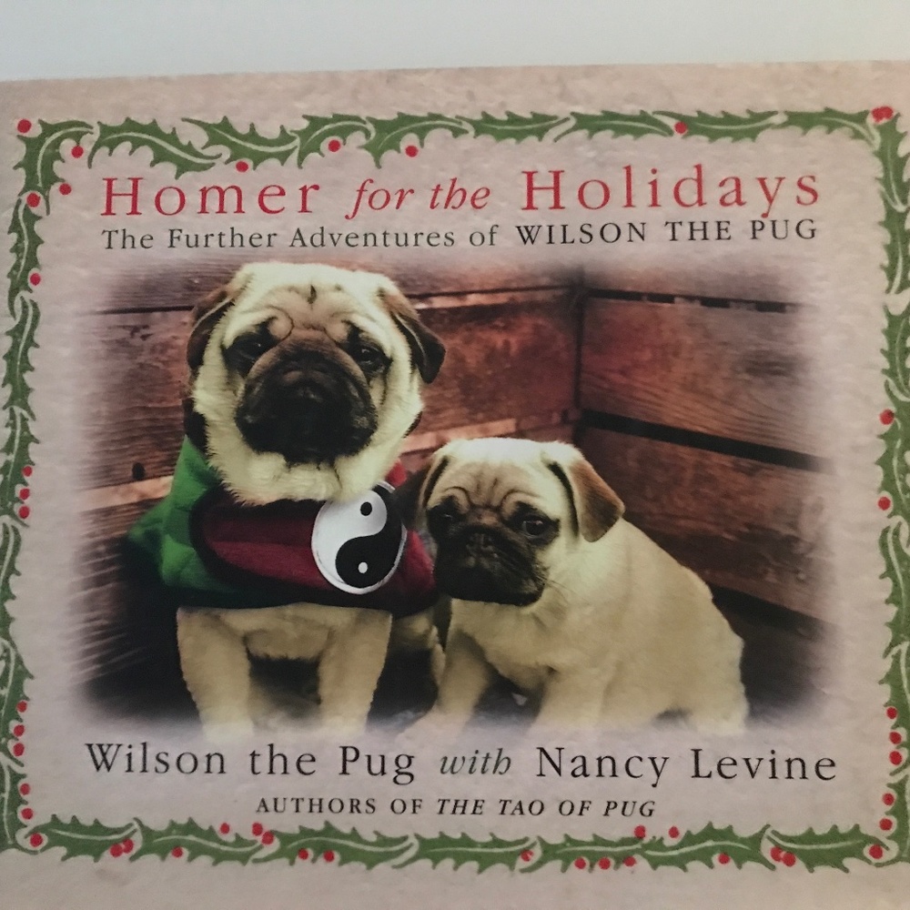 Homer for the Holidays  Hardback book